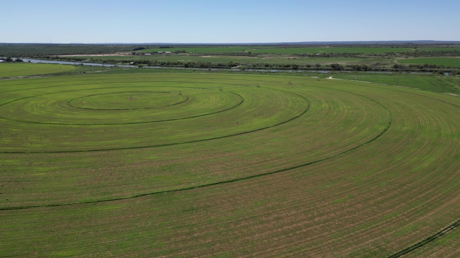 0 Bedroom Property for Sale in Douglas Rural Northern Cape